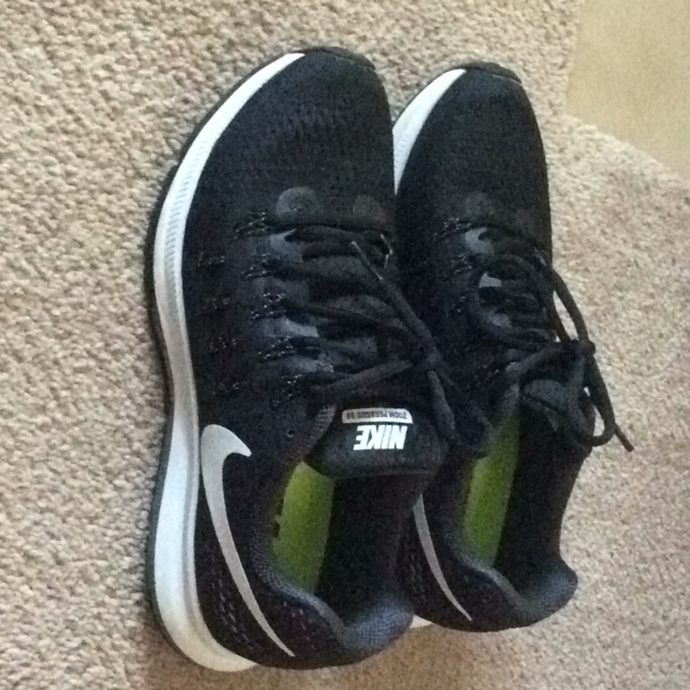 Nike zoom pegasus33